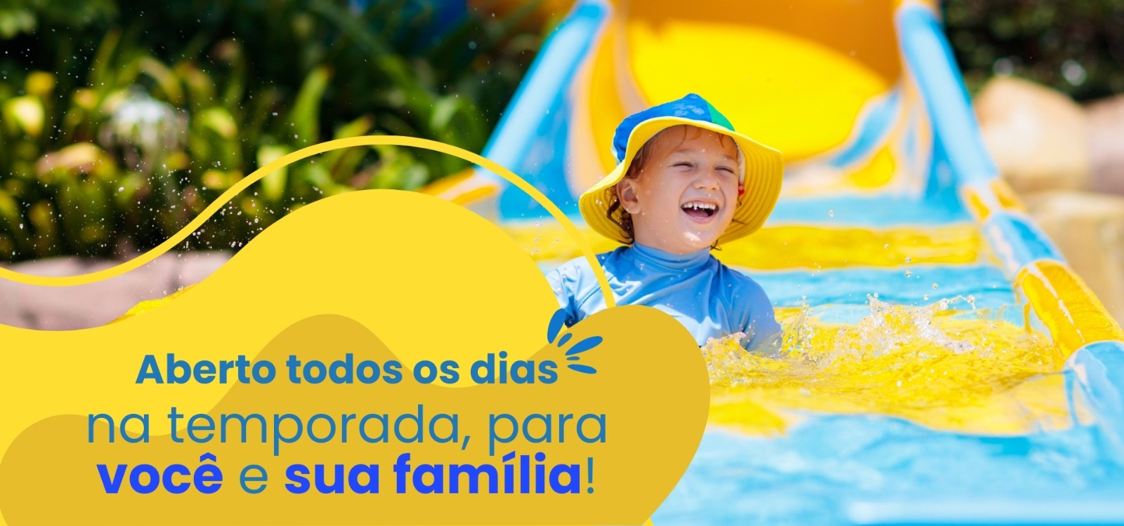 WhatsApp Image 2026-02-03 at 12.33.54