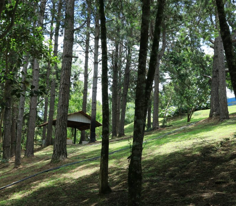 WhatsApp Image 2026-01-22 at 12.03.32